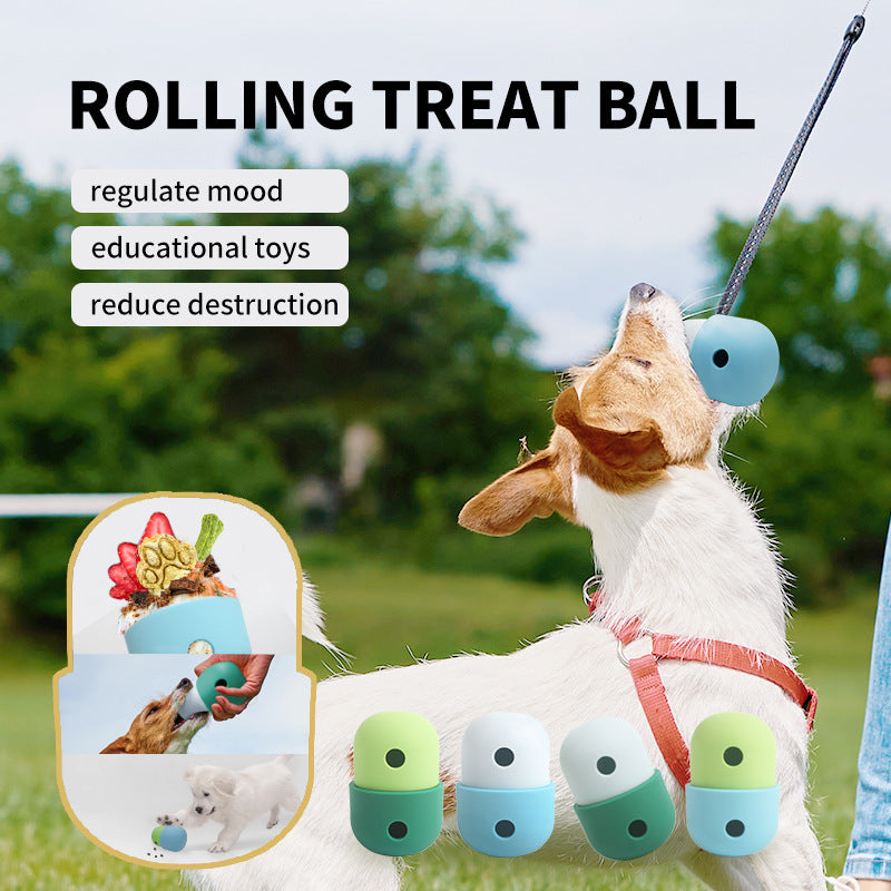 Dog playing with a treat toy above several color options