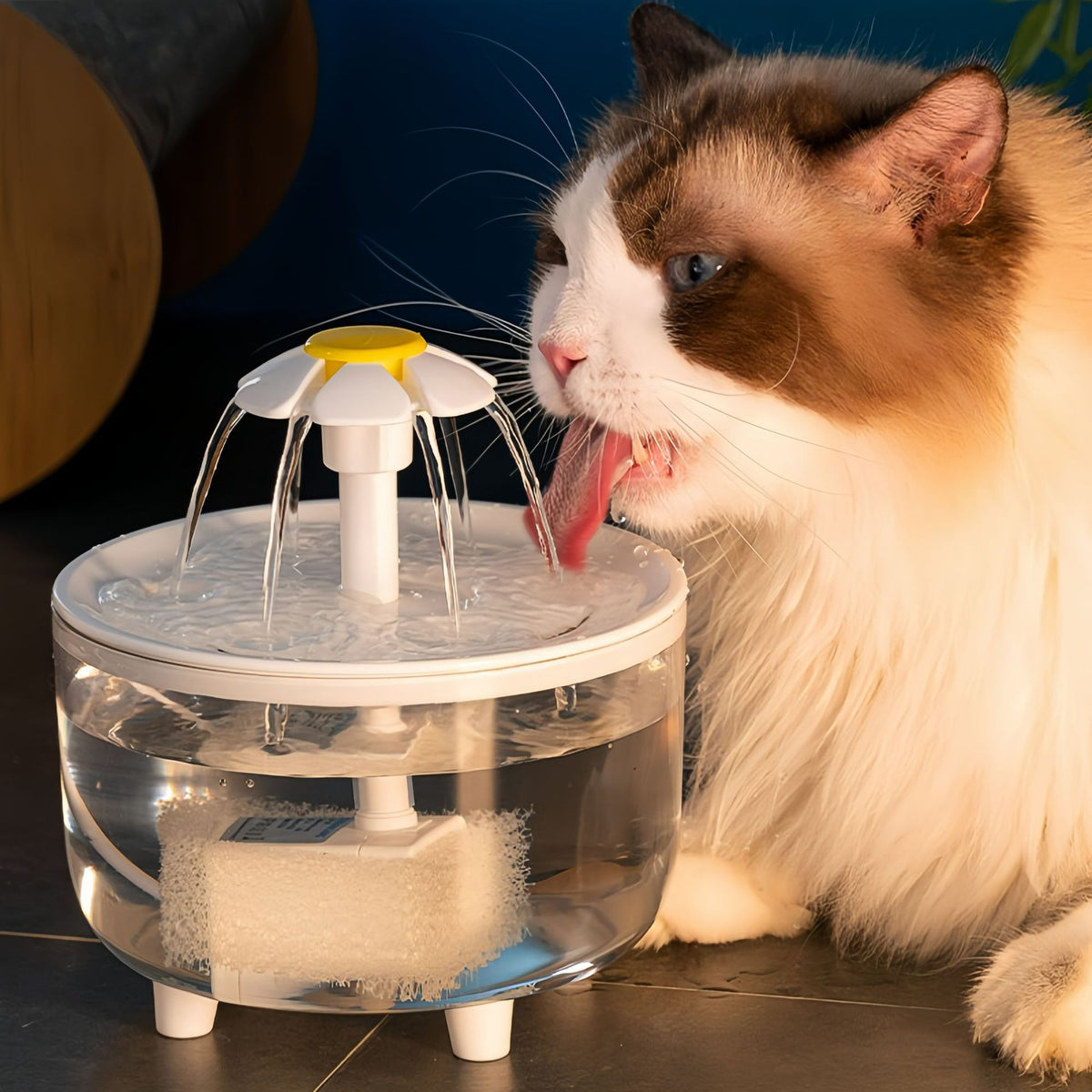 Cat drinking from a transparent flower-style pet water fountain