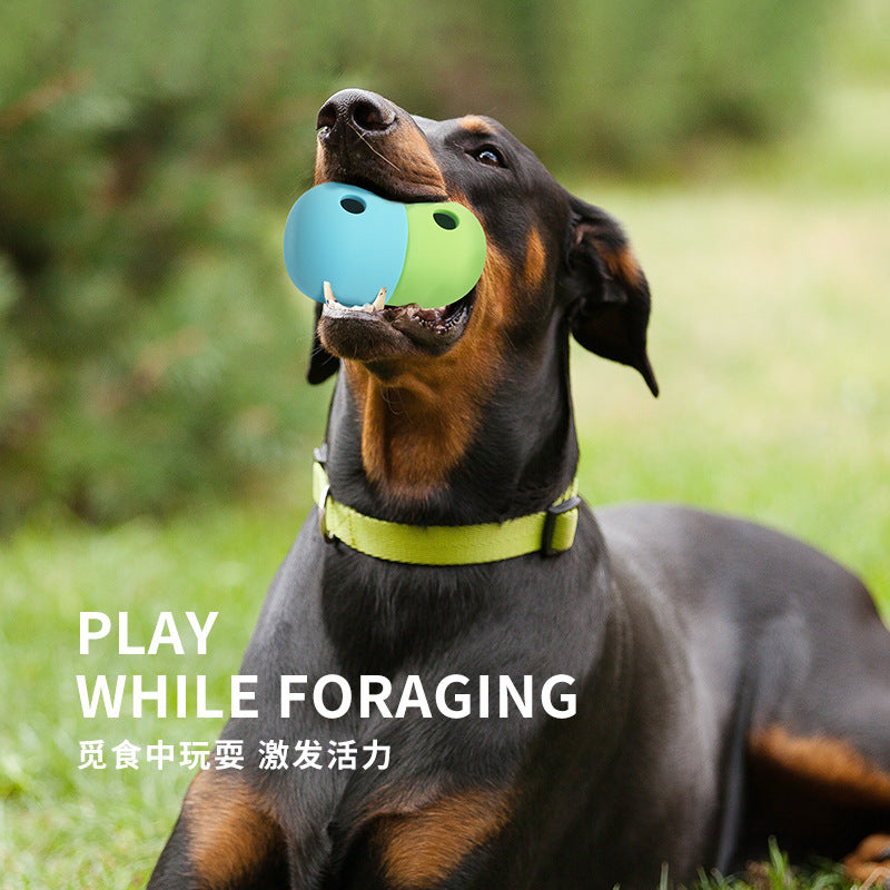 Dog holding a two-tone treat-dispensing toy