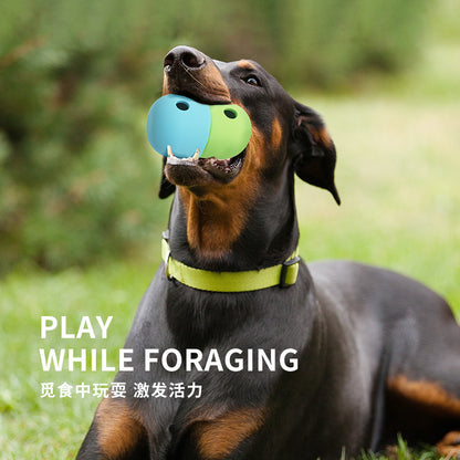 Dog holding a two-tone treat-dispensing toy
