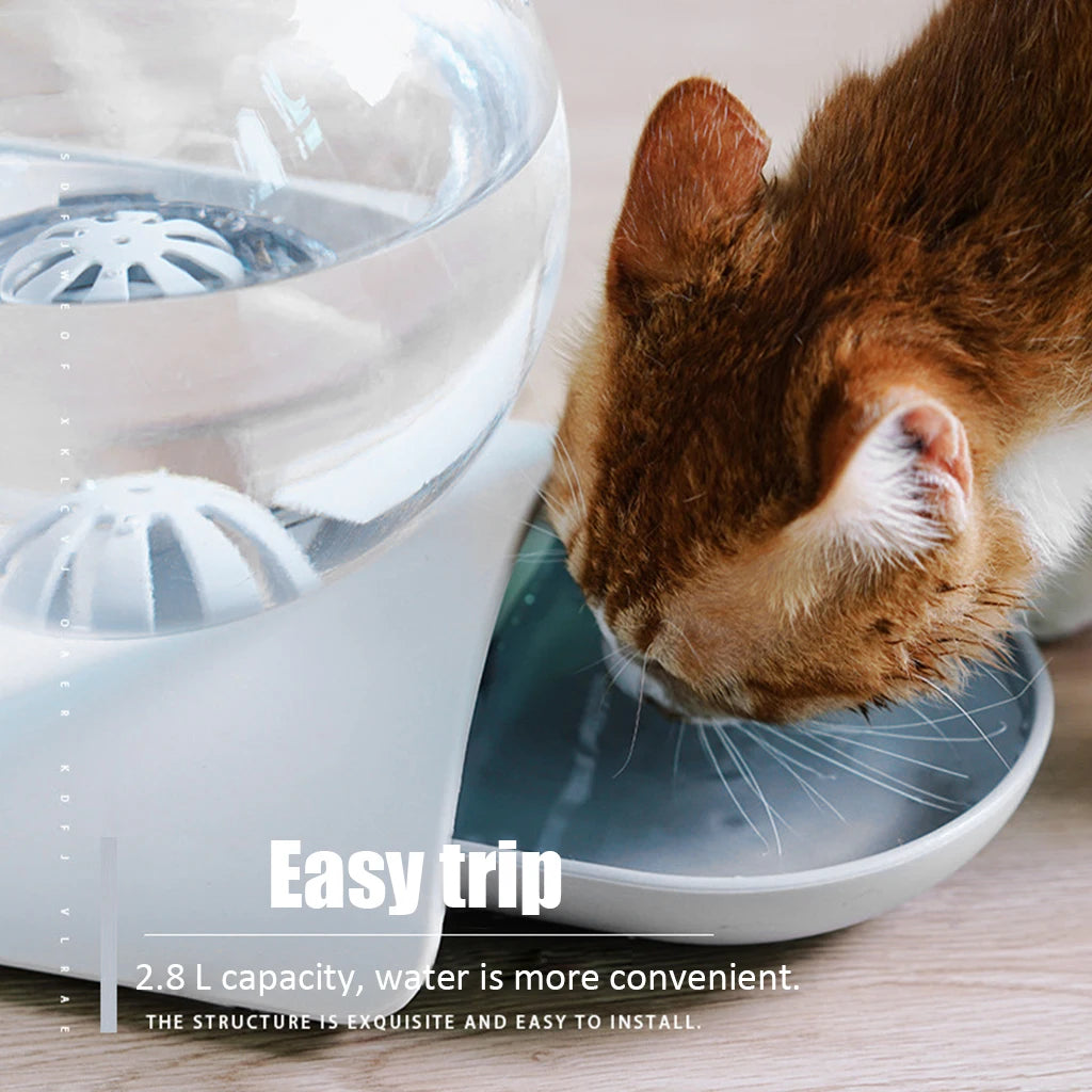 Cat drinking from a gray gravity water dispenser