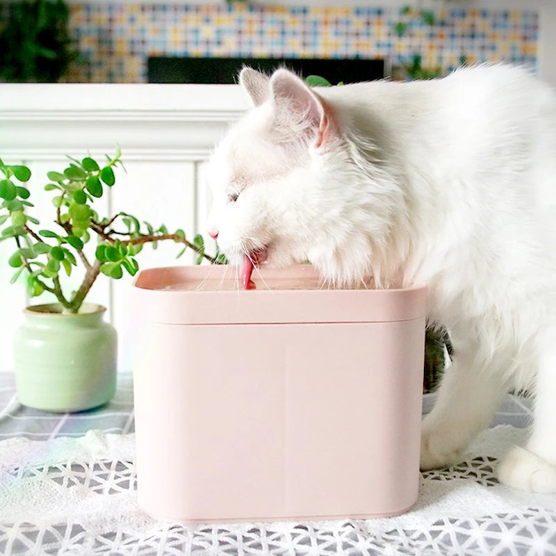 Cat drinking from a pink rectangular pet water fountain
